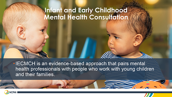 All Hands on Deck:  Partnering with Infant and Early Childhood Mental Health Consultants to Implement the Pyramid Model