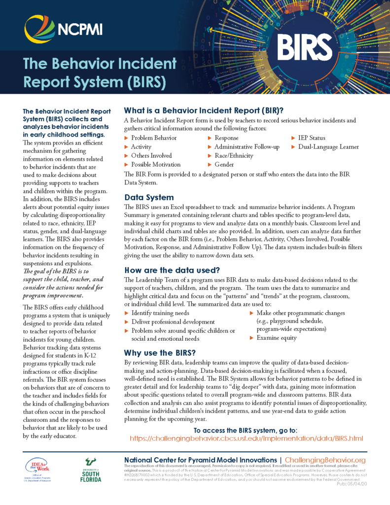 Behavior Incident Report System (BIRS) Overview