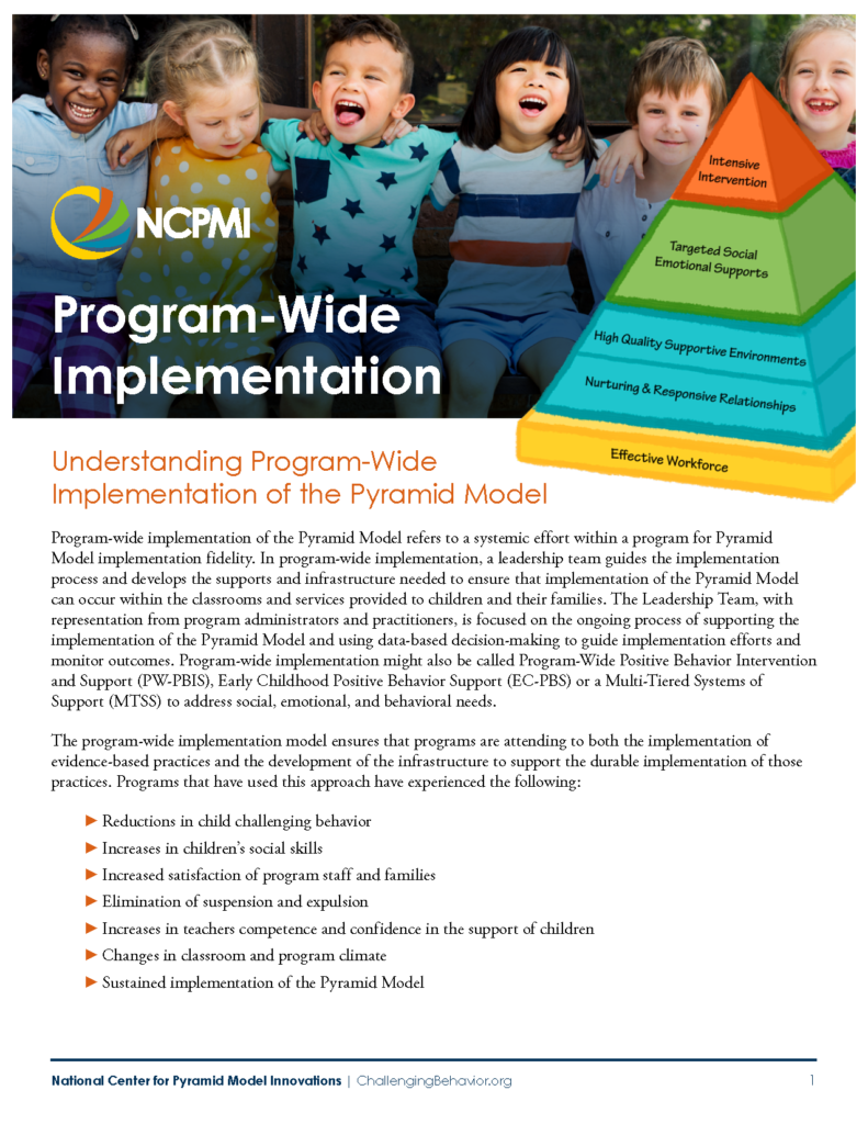 Program-Wide Implementation