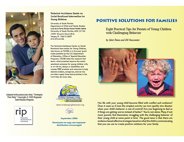 Positive Solutions for Families: Eight Practical Tips for Parents of Young Children with Challenging Behavior