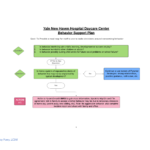 Behavior Support Plan Flow Chart