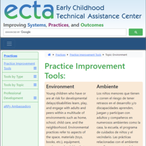 Thumbnail image for ECTA Practice Improvement Tool: Environment resource