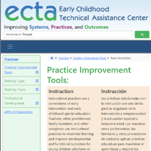 Thumbnail image for ECTA Practice Improvement Tool: Insturction