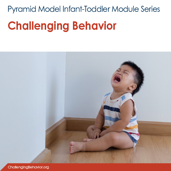 Infant-Toddler Module 8: Challenging Behavior