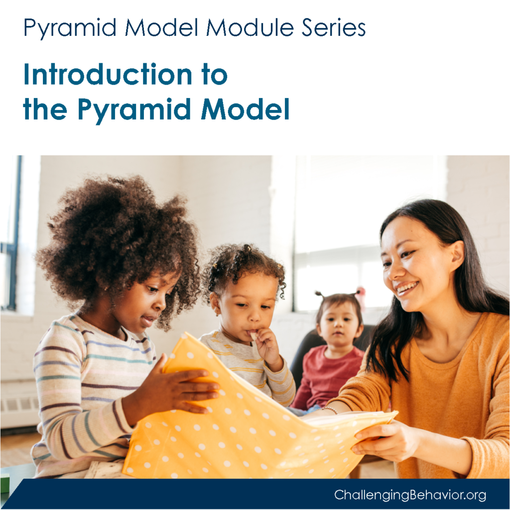 Introduction to the Pyramid Model