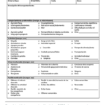 Thumbnail view of the Spanish translation of the Behavior Incident Report provided by the IdahoStars team