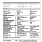 Thumbnail view of the Spanish translation of the Behavior Incident Report provided by the Oregon Child Development Coalition